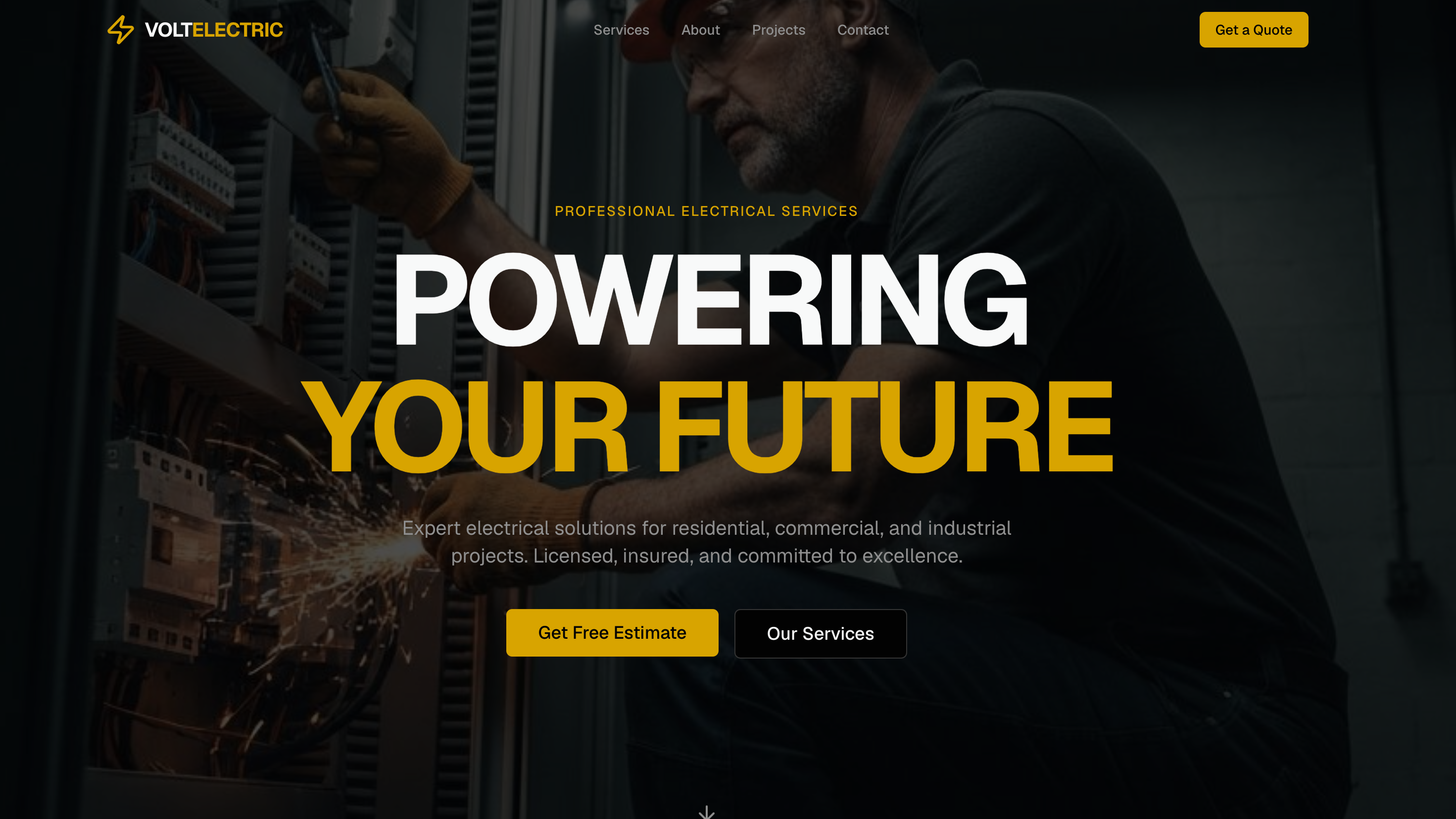 Volt Electric